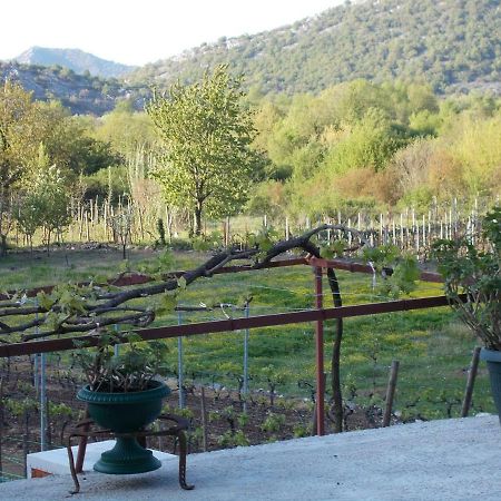 Guesthouse Feel Lake Virpazar Kültér fotó