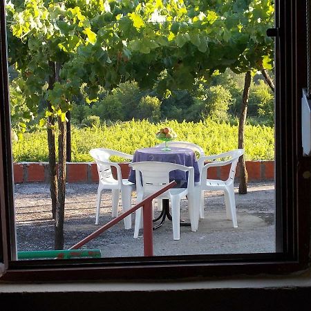 Guesthouse Feel Lake Virpazar Kültér fotó