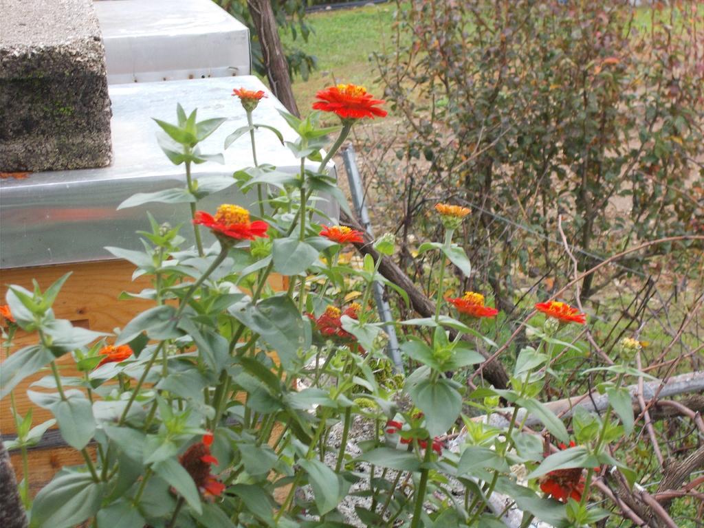 Guesthouse Feel Lake Virpazar Kültér fotó