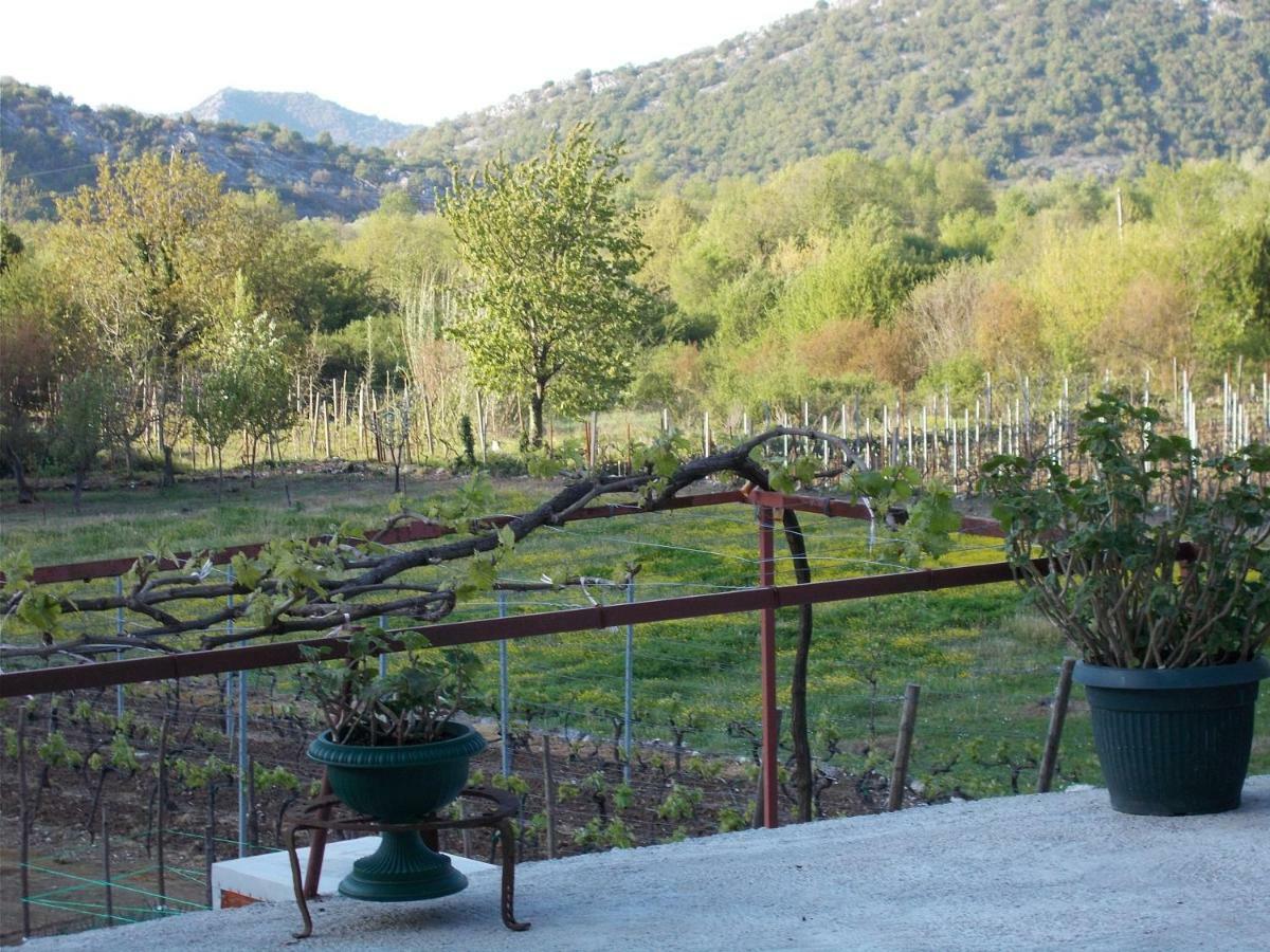 Guesthouse Feel Lake Virpazar Kültér fotó