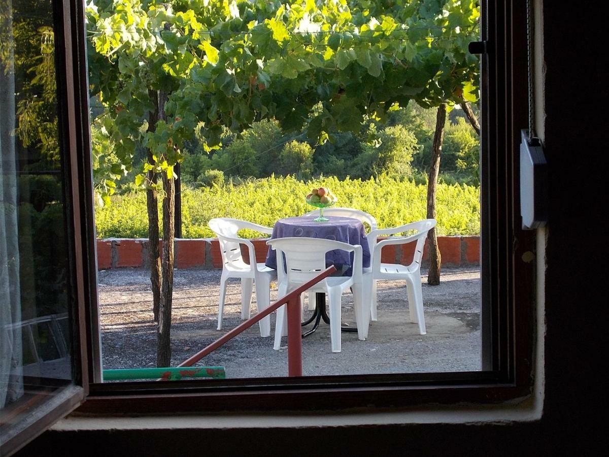 Guesthouse Feel Lake Virpazar Kültér fotó